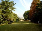 １２番　パー４　３９３ヤード 