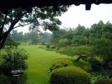 中から眺める日本庭園