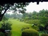 中から眺める日本庭園
